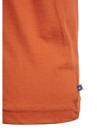 Outdoor T-shirt Günlük Pamuklu Basic Erkek Tıcol01 Kiremit