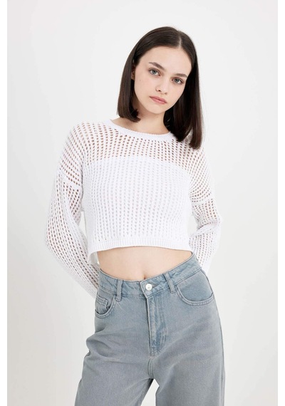 Defacto Regular Fit Bisiklet Yaka Kroşe Ajurlu Delikli Crop Triko Kazak T4513AZ24AUER103 Ekru