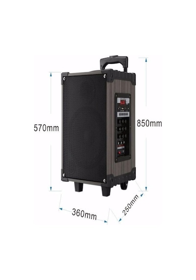 Lt-912 Süper Bass Şarjlı Çift Mikrofonlu Hoparlör Karaoke Sistemi 100w Taşınabilir Parti Box