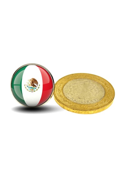 Meksika Mexico Bayrak Rozeti - Paslanmaz Çelik Yuvarlak Yaka Rozeti Çok Renkli