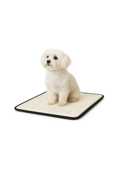 80x45 Cm Ortopedik Küçük Köpek Yatağı Yumuşak Peluş, Kaymaz Taban, Yıkanabilir, Tamamlayıcı Süngerli Minde