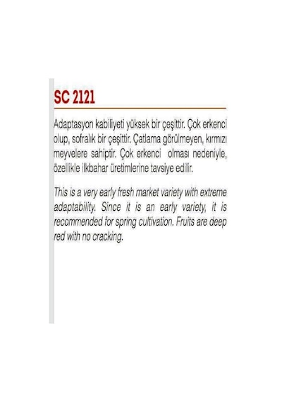 AGRodal Tarım Doğal Standart Sofralık Sc2121 Domates 100 Adet Tohum
