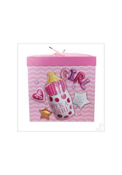 Kapaklı, Katlanır Demonte Karton Kutu, 30cm - Biberon & Pembe