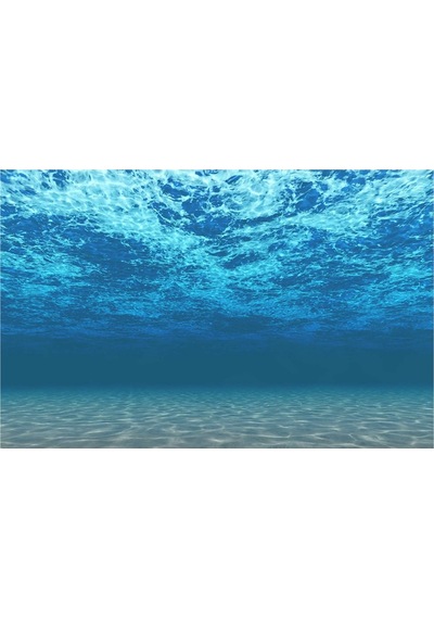 Kanki Pet KP7045008 Akvaryum Arka Fon Yapıştırma 70 CM