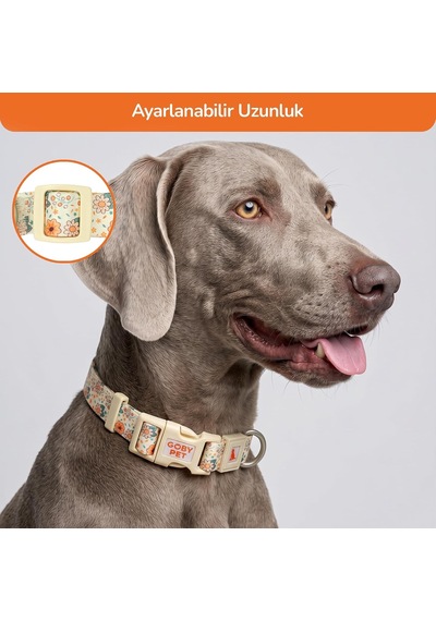 Desenli Köpek Boyun Tasması 25 Mm, Ayarlanabilir 39-55 Cm, Güçlendirilmiş Emniyet Kilitli Toka, Paslanmaz Metal D H Çok Renkli
