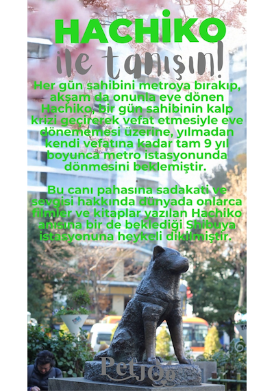 Petjoo 19.Hachiko Gri-Yeşil Qr'lı Köpek Künyesi
