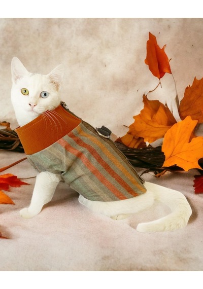 Kemique Stripe Orange Su İtici Kedi Yağmurluğu