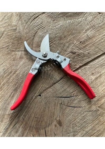 Pruning Bağ Budama Makası Elma Kiwi Bitki Budama Makası 215Mm