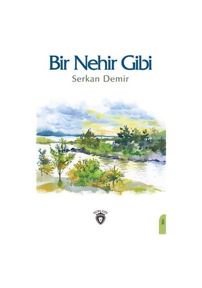 Bir Nehir Gibi