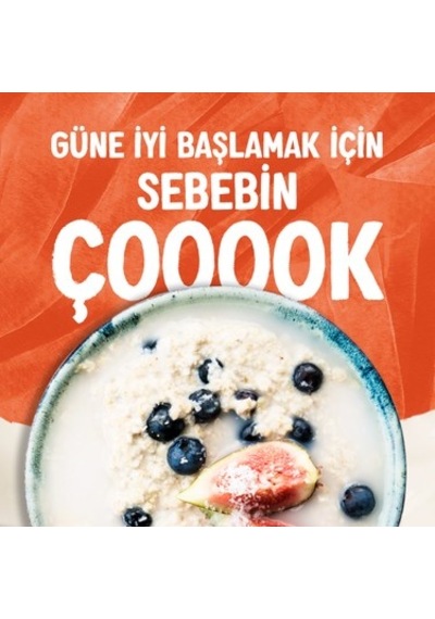 1 L Laktozsuz Vegan Hindistan Cevizi Sütü