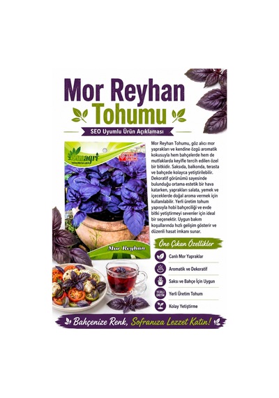 Mor Reyhan Tohumu Yoğun Kokulu Mor Yapraklı Reyhan Tohumu