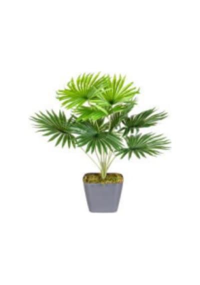 Saksıda Yapay Bitki Fatsia-japon Çınarı Gerçek Dokulu 9 Yaprak Yeşil 48 Cm. Çok Renkli