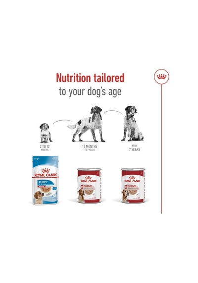 Royal Canin Medium Adult Can Yetişkin Köpek Yaş Maması 410g X 12 Adet