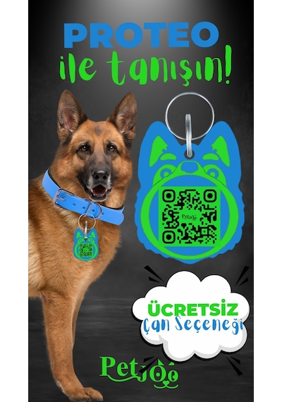 Petjoo 24.Proteo Yeşil-Mavi Qr'lı Köpek Künyesi