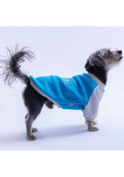 Mavi Boston Pawstar Sweat Köpek Sweatshirt Köpek Sweat Köpek Kıyafeti Kedi Kıyafeti