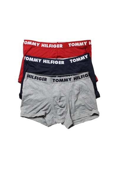 Tommy Hilfiger Tommy Hılfıger Statement Flex Erkek 3 Lü Boxer 09T3798 608