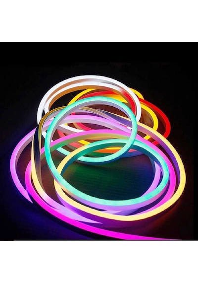Vıp Profesyonel Cep Kontrol Kumandalı Ip65 Neon Hortum Led Işık 5 Metre Renkli Led Işık Dıs Mekan Renkli