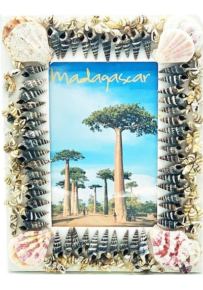 Dekoratif Ahşap Marin Deniz Kabuklu Resim Çerçevesi 16x22cm No:5