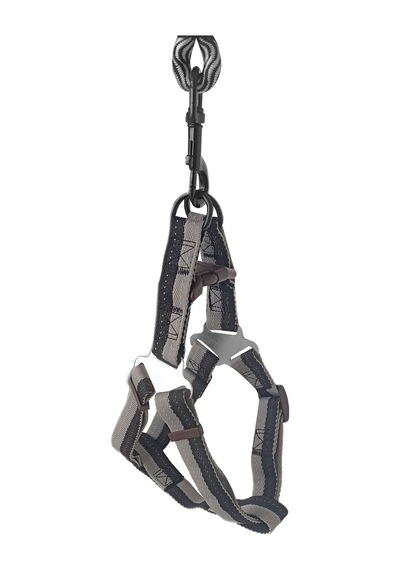 Köpek Göğüs Tasma Seti Dalga Desenli 1.5 Cm 35-48 Cm Siyah-beyaz - Cole-755937 Çok Renkli
