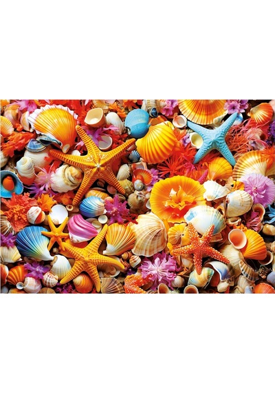 Educa 20246 Puzzle - 1000 Parça Deniz Kabuğu Kolajı Yapboz - Shell Collage