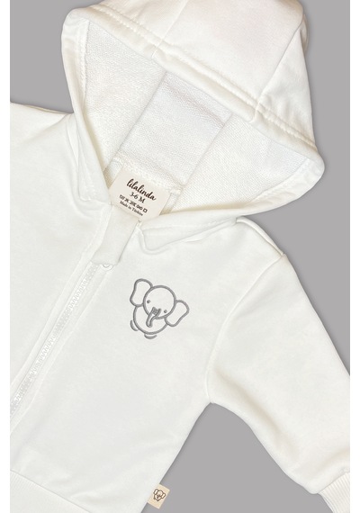 Bebek/cocuk Nakış Detaylı Fermuarlı Sweatshirt Gri