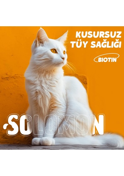 Plus+b Kediler İçin Tüy Dökümünü Azaltan Besleyen Tüy Döküm Önleyici Multivitamin Damla