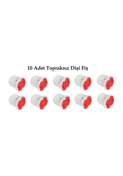 10 Adet Topraksız Dişi Fiş