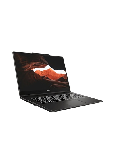 MSI Venture Pro 17 A2RWEG-027XTR-P08 Core 7 240H 32 GB 1 TB SSD RTX5050 17.3" W11P Dizüstü Bilgisayar + Çanta