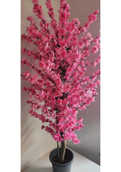 Rüzgar Çiçekcilik 145 Cm Plastik Saksıda Pembe Bahardali Pembe