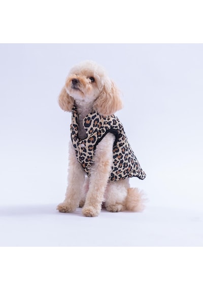 Mbeya Gold Leopar Desen Yelek Köpek Yeleği Köpek Kıyafeti Köpek Yağmurluk