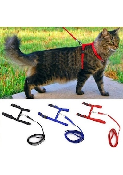 Ayarlanabilir Kedi Tasması 120 Cm 4 Renk N11.217
