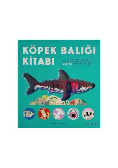 Köpek Balığı Kitabı Hannah Alice