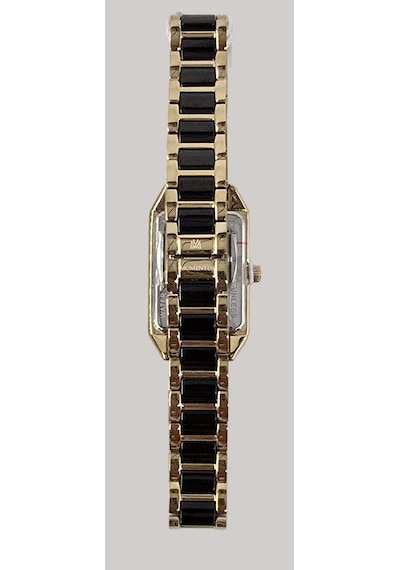Ss273t-04sg Momentus Women's Shinystar Kol Saati Std / Gold-siyah Gri