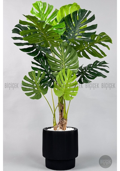 Biçiçek Yapay Monstera Ağacı Deve Tabani 160 Cm Si̇yah Vega Saksıda