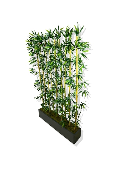 Cihan Çiçekçilik Bambu Seperatör 200 Cm 9 Adet Bambu 100 Cm Antrasit Saksı Beyaz- Yeşil