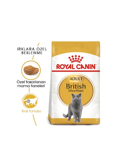 Royal Canin British Shorthair Adult Kedi Kuru Maması 2 Kg