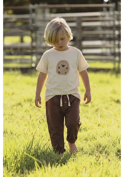 Cigit Kirpi Aplikeli T-shirt Takım 1-5 Yaş Ekru
