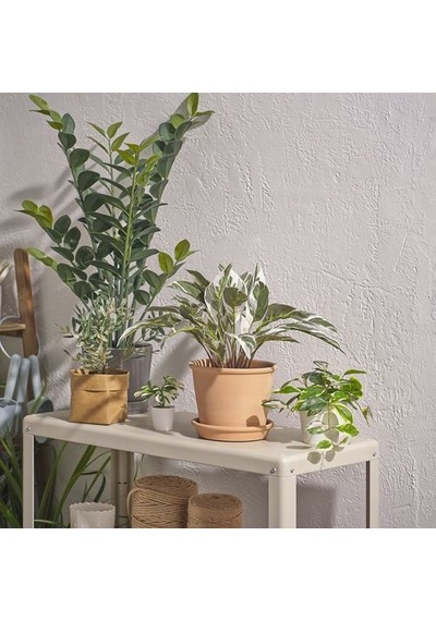 Ikea Fejka Yapay Bitki, Yeşil, 15 Cm, Dua Çiçeği