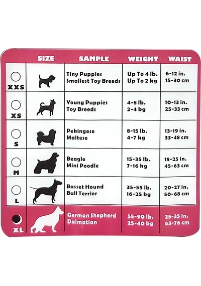 Hushpet Ultra Emici Köpek Külot Çiş Pedi Xl 12li