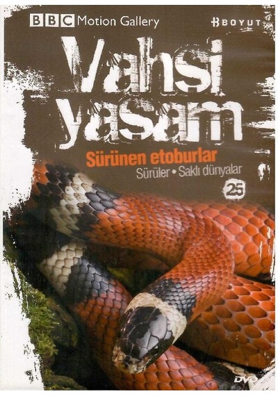 Bbc Motion Gallery - Vahşi Yaşam Sürünen Etoburlar Sürüler Saklı Dünyalar - Dvd