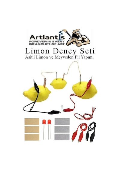 Dünya Güneş Ay Deney Seti Ve Limon Deney Seti 1 Paket Guaj Boya 6 Renk Resim Fırçası 2 Adet Proje Tasarım Okul Deney Seti
