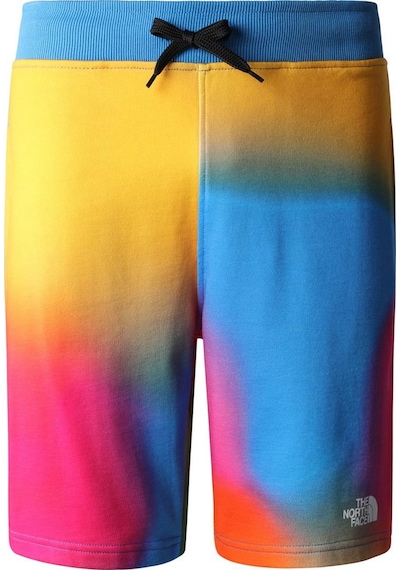 The North Face M Standard Short Lıght-eu Erkek Şort Nf0a3s4eıax1 001