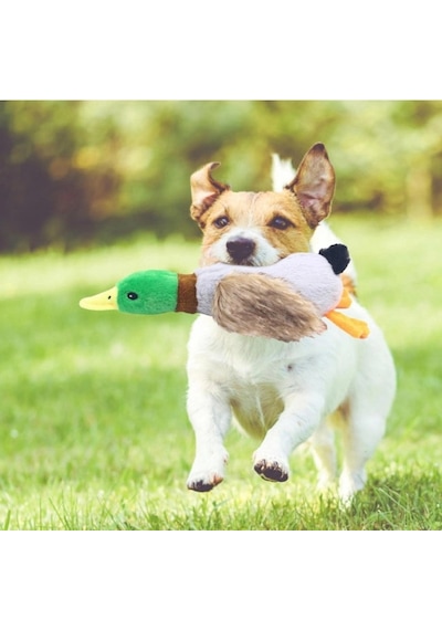 Kullanıma Uygun Sesli Ördek Şekilli Peluş Köpek Oyuncağı