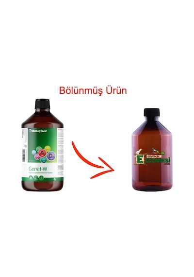 Gervit Multivitamin 250 Ml Bölünmüş