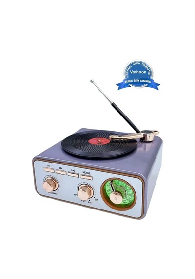 Metalik Nostaljik Tasarım Plak Çalar Görünümlü Radyolu Bluetooth Hoparlör Retro Müzik Plak - 100