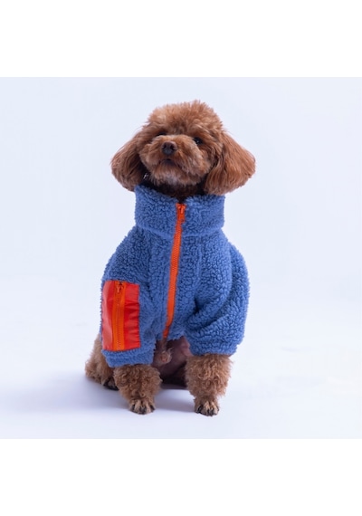 Mavi Bergen Outdoor Ceket Kedi Köpek Ceketi Kalın Fermuarlı Kedi Köpek Kıyafeti Kedi Köpek Elbisesi Mavi Bergen Outdoor Ceket Kedi Köpek Ceketi Kalın Fermuarlı Kedi Köpek Kıyafeti Kedi Köpek Elbisesi