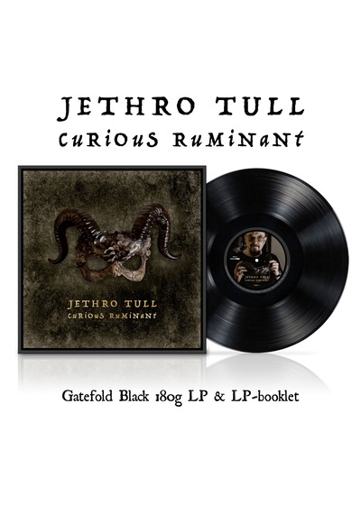 Jethro Tull - Curious Ruminant / Plak