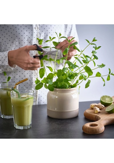 Ikea Brugdhaj Gıda Kavanozu 1000 Ml 12 X 13 Cm Krem