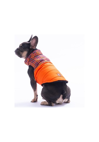 Turuncu Elgin Paws Ekose Desen Yelek Köpek Yeleği Köpek Kıyafeti Köpek Yağmurluk