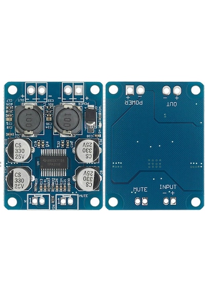 TPA3118 60W Mono Digital Ses Amfi Modül DC 12V-24V Tek Kanal Class D Amplifikatör Amfi Amplifier